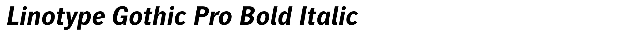 Linotype Gothic Pro Bold Italic image